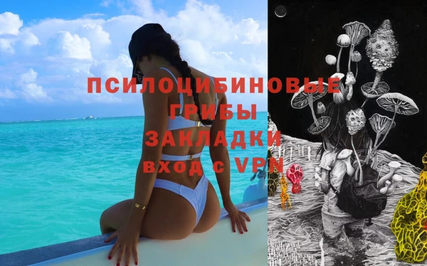 не бодяженный Арсеньев
