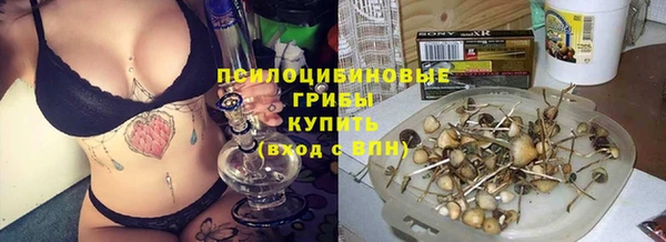 гидра Армянск