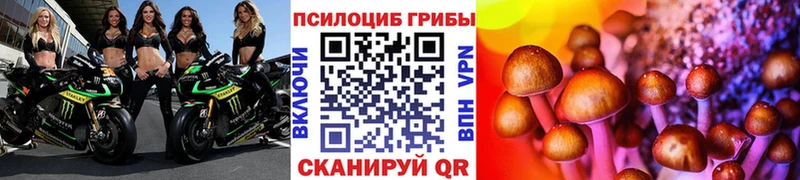 hydra зеркало  Соль-Илецк  Псилоцибиновые грибы Magic Shrooms  где продают наркотики 