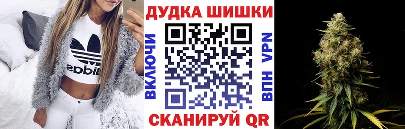 Бошки марихуана план  купить наркотики сайты  Соль-Илецк 